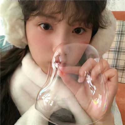 容易受伤的玫瑰