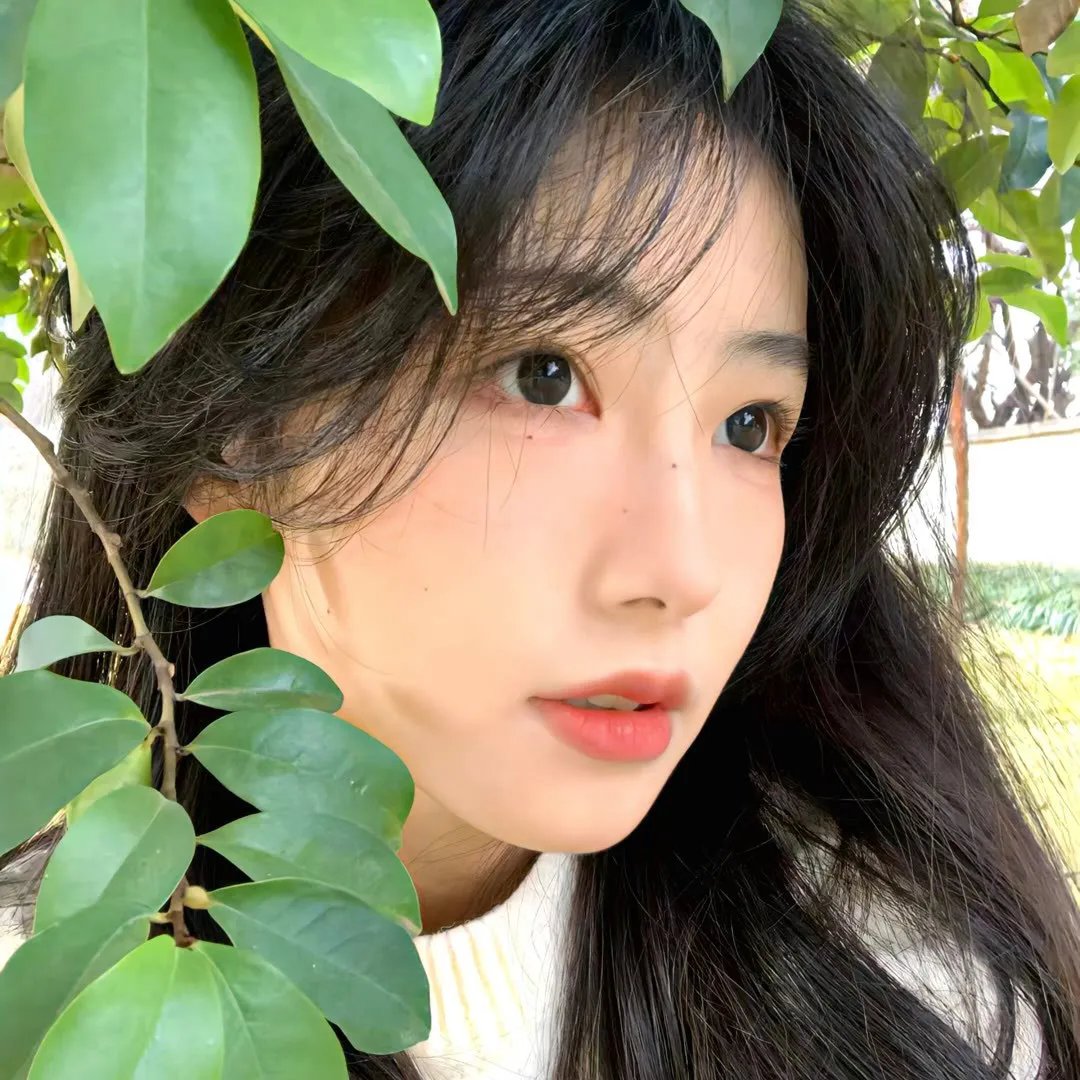 昼夜摇滚